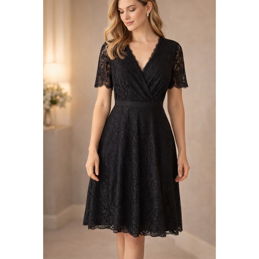Black Lace Dress Womens Fit & Flare V Neck Short Sleeve Lined Knee Length Elegan